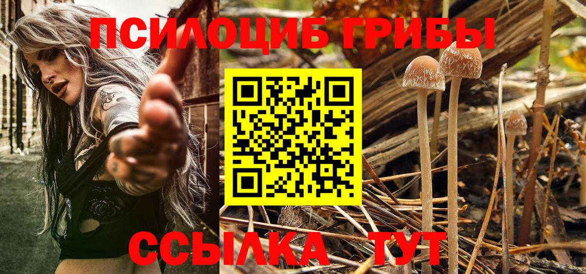 Галлюциногенные грибы MAGIC MUSHROOMS  Вход с VPN  Ишимбай  Псилоцибиновые грибы мицелий 